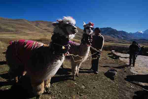 o peru super saver