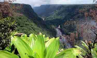 guyana  o