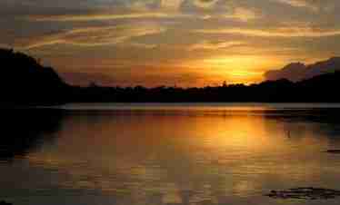guyana  o