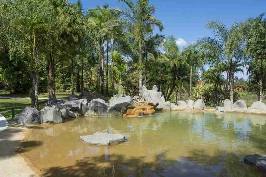 o arenalparaisopics