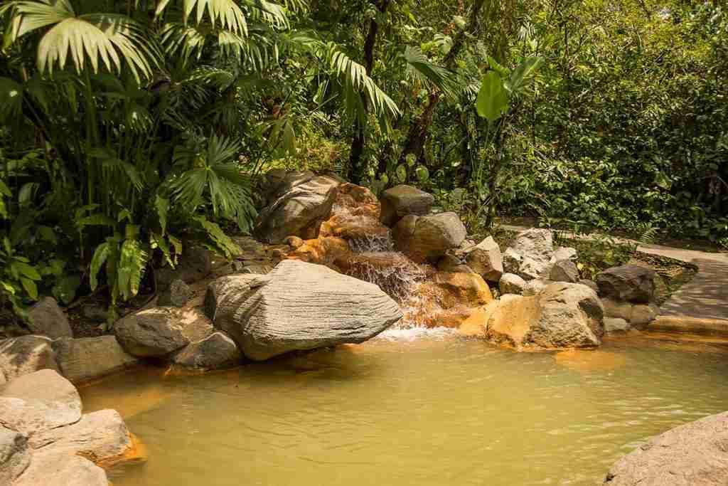 o arenalparaisopics