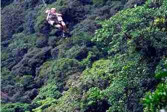 o canopy