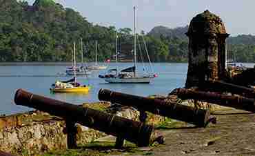 o portobelo