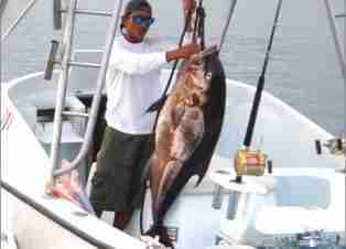 o sportfishing