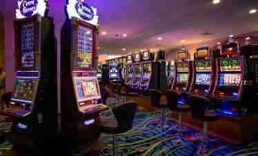 o Crocs Casino