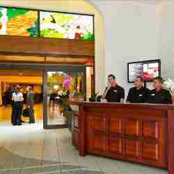 o Hotel