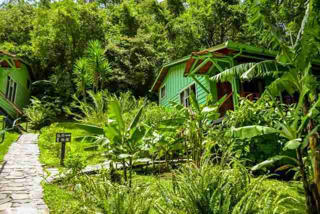 o hostel monteverde