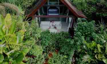 Oxygen Jungle Villas