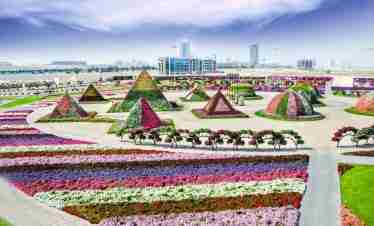 Dubai Miracle Garden & Butterfly Garden – Entrance Ticket