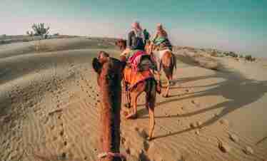 Premium 4×4 Desert Safari with BBQ Dinner