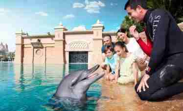 Dolphin Bay Atlantis in Dubai – Entrance Ticket
