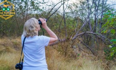 Early Bird Watching Tour